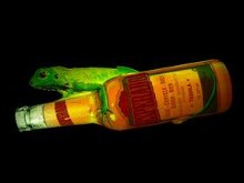 Desperados Cerveza Beer Lizard 