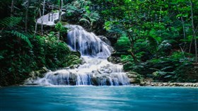 Jungle_River_Falls