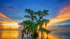 Lone_Tree Sunset