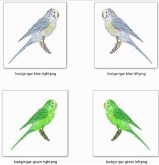 budgerigar icon