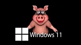 Win11 Piggy