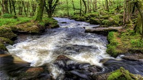 Golitha Falls