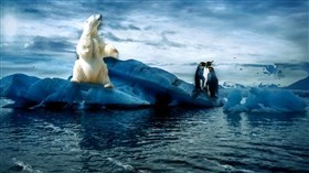 Arctic Holiday