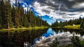 Forest Storm