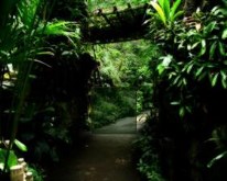 Garden Gateway
