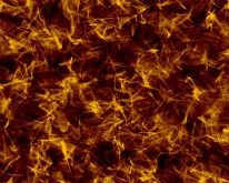 eXtreme fIRe LOGon