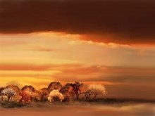 Forgotten forest