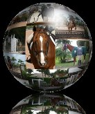 Reflective Horse Sphere 