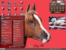 horse