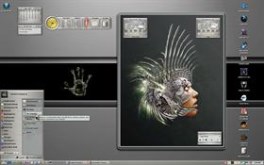 Rooster Desktop