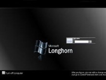 Longhorn Stealth