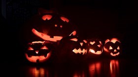 Halloween Jack O' Lanterns 