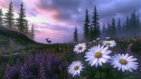 Deep Woods