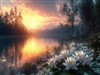 The Sun Rises