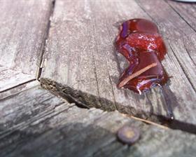 ZuSpills