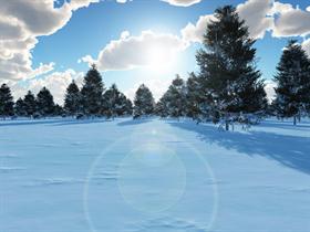 Snowed under