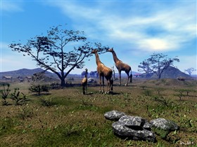 Mr. and Mrs. G
