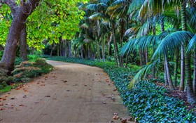 Hidden Path II