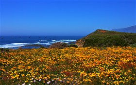 Spring on the West Coast