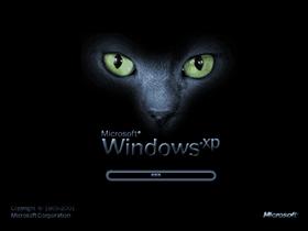 Cats Eyes