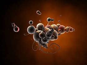 Cytoplasm