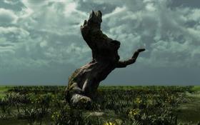 Old tree