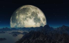 Blue night