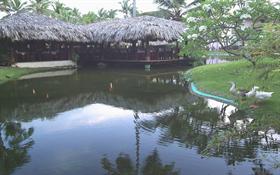 punta cana