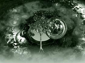 Nature Analyze