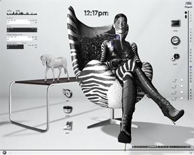 Zebra Stripes