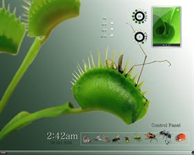 Tasty Morsels