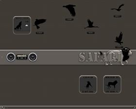 My Safari