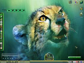 Great Cat