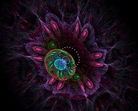 Paradise Flower
