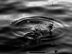 Splash