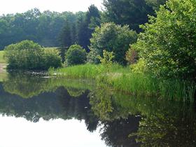 Bass Lake