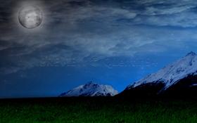 Moon's Tears (Widescreen)