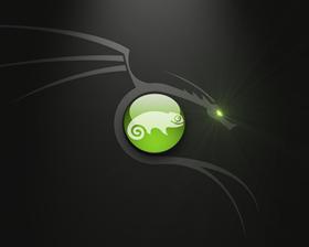 suse dragon