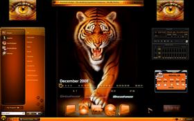 Tiger Eyes