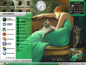 cat lady