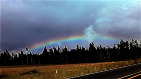 Intensitybow
