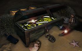 Pirate Treasure