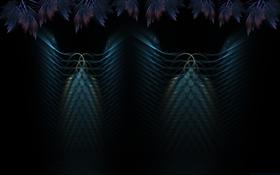 feathers in time