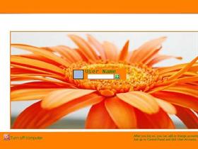 Orange Flower