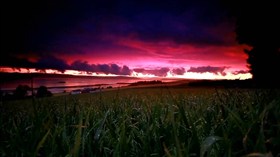 Twilight Grassfield