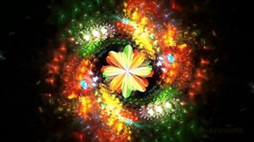 Wild_Colors