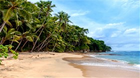 Tropical_Paradise_Beach