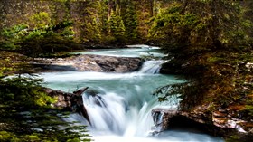 Cascade_Pines