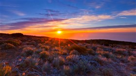 Desert_Sunrise
