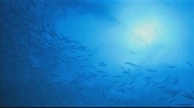 Deep_Blue_Ocean
